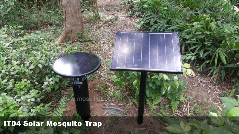 太陽能滅蚊機IT04安裝於花團